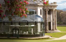 Ballyfin Demesne Weddings